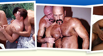 AllGaySitesPass
